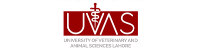 Laguna Beach Veterinary Medical Center - UVAS Logo