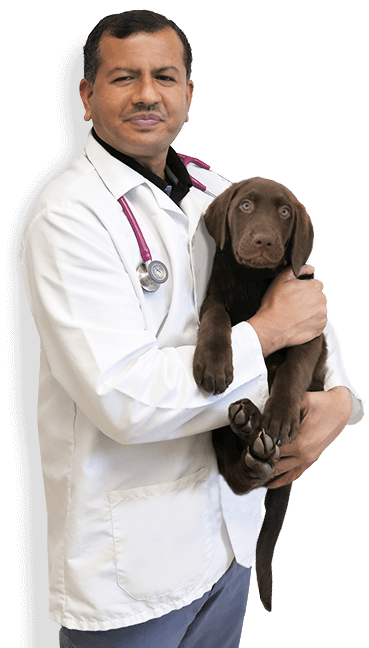 Laguna Beach Veterinary Medical Center - Team - Dr. Mukhtar
