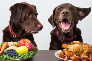 Laguna Beach Veterinary Medical Center-Dogs with options of vegetables or meat products for food diet